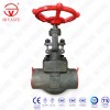 Forged Steel Gate Valves